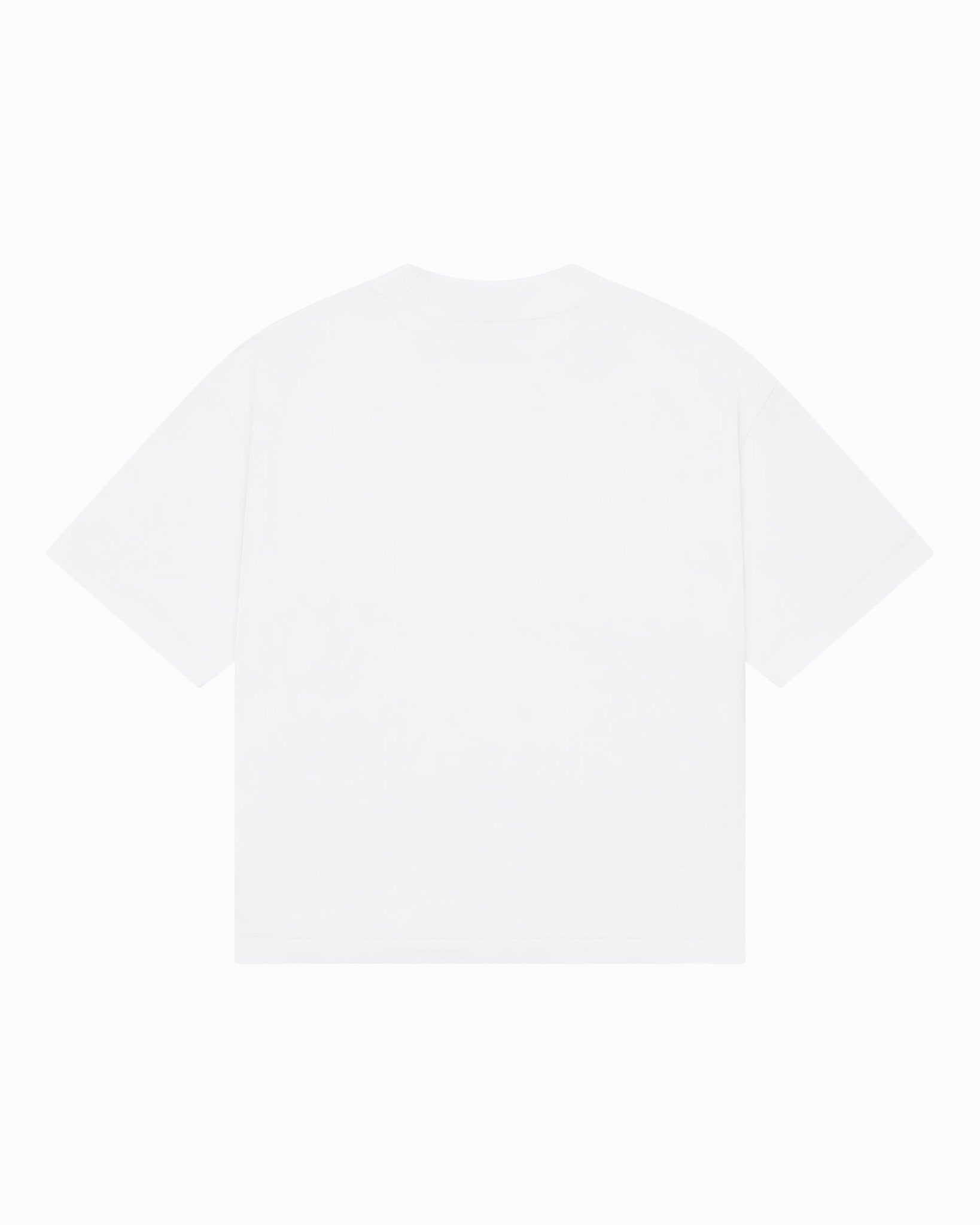 Gold Fish T-Shirt - Heavy Cropped