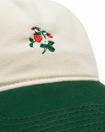 Strawberries Cap Green