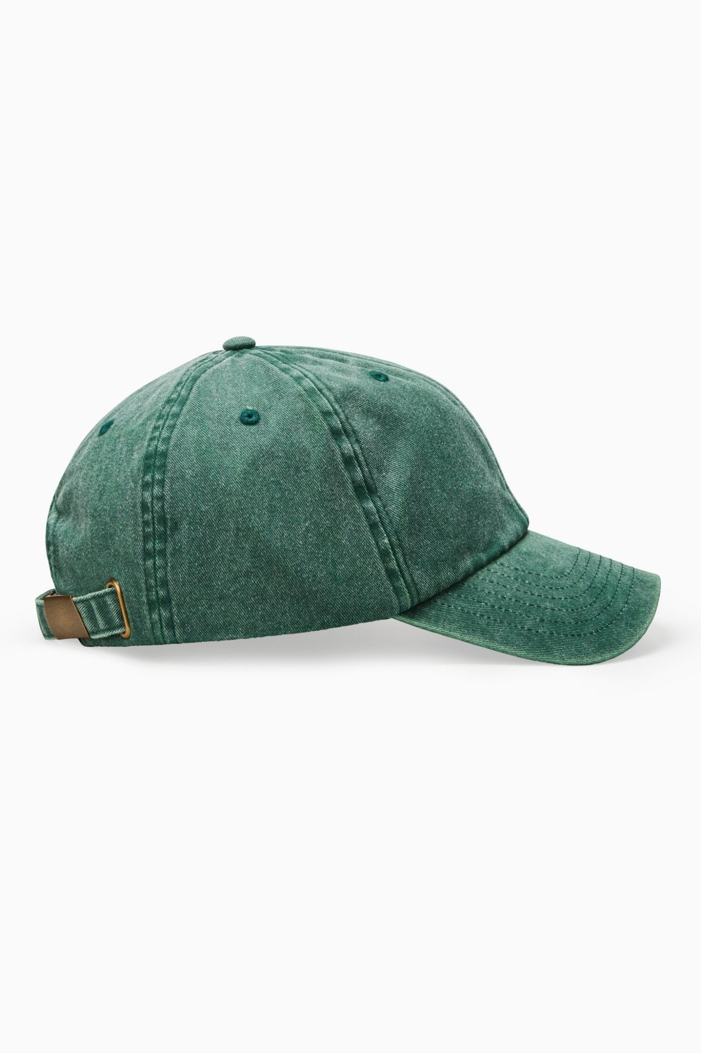 Dinosaur cap 2025